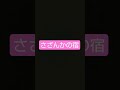 さざんかの宿 / 市川由紀乃 #shorts #艶歌