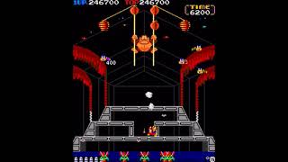 "teign" - Donkey Kong 3 - 3,061,700 [Former MAME World Record]