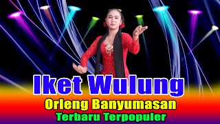 CALUNG ORLENG BANYUMASAN IKET WULUNG || CAMPURSARI LANGGAM JAWA TERPOPULER