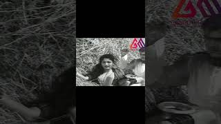 Manchi Manasulu Akkineni Nageswara Rao Savitri K. V. Mahadevan Gangothri Movies