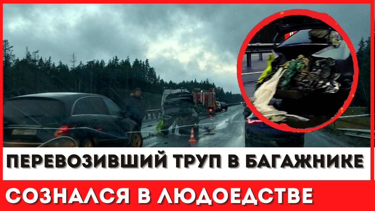 След труп в багажнике След труп в багажнике