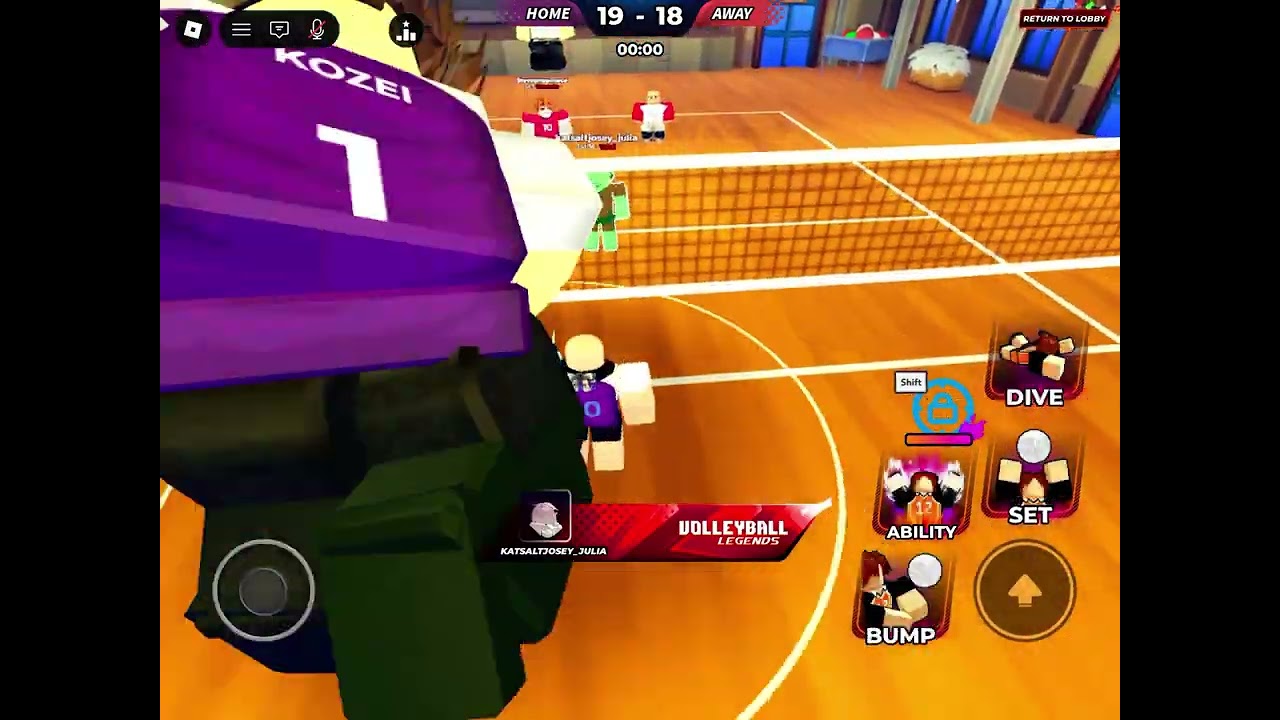 Volleyball fly hacker.