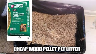 Cheap Cat Kitten Litter Using Pine Pellets Equine Bedding Wood Stove Environmental Friendly Compost.