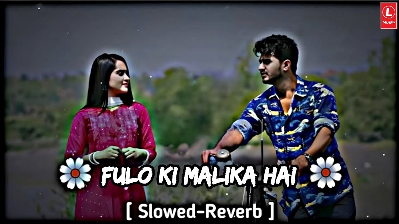 Fulo Ki Malika Hai (slowed X reverb)| Atif Aslam Ali Cover New Song Aane Se Uske Aaye Bahar Lofi Mix