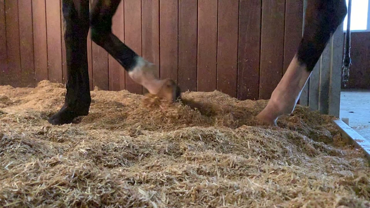 Gemahlenes Roggenstroh - staubfreie Premiumprodukt/ Milled rye straw, the dust-free premium product