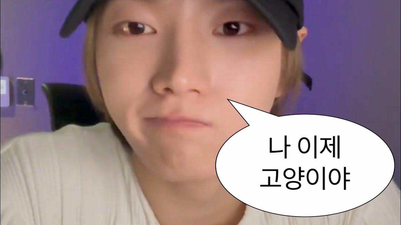 [보넥도/성호] 나 이제 고양이야 | 250613 위버스 라이브 요약