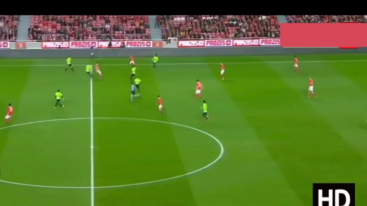 Ljubomir Fejsa l Fenerbahçe l gol,asist,yetenek