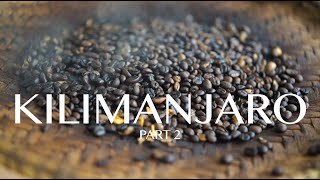 Kilimanjaro - Waterfall & Coffee