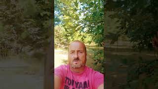 Fousytube farts on dog