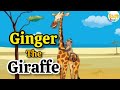 Story time | Ginger the Giraffe | Bedtime stories for children | Adventure stories for kids