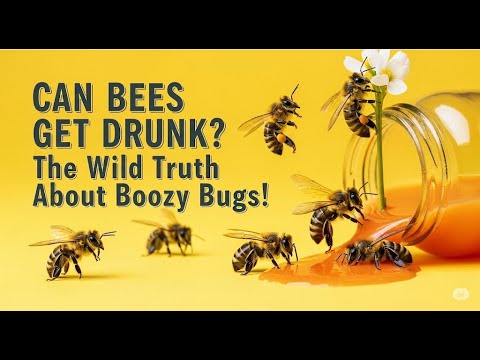 Boozy Bee Can Bees Get Drunk? The Wild Truth About Boozy Bugs! - YouTube