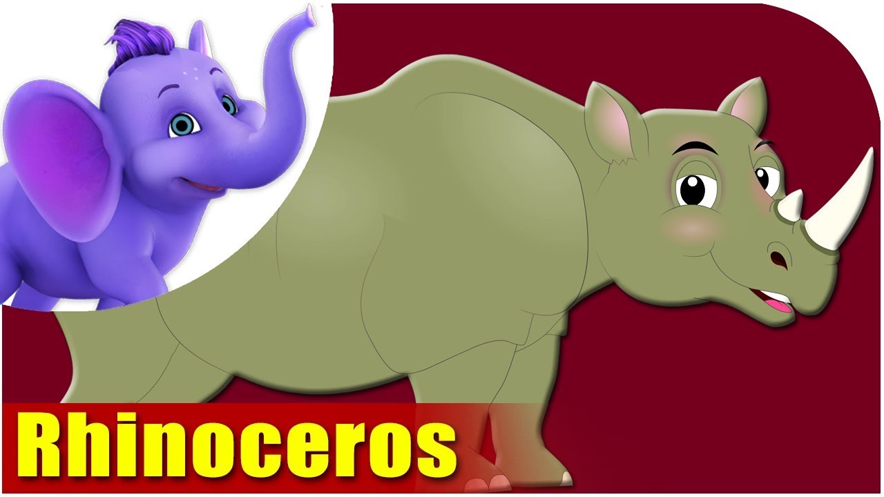 Rhinoceros - Animal Rhymes in Ultra HD (4K) - Appu Series
