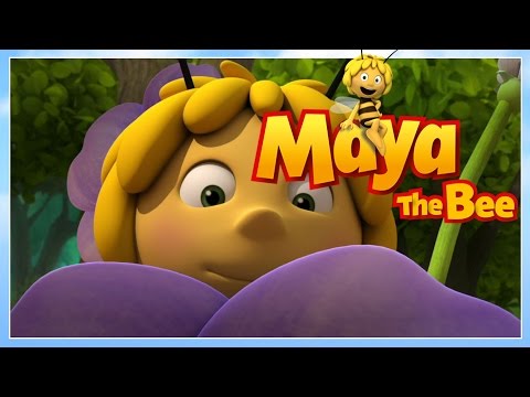 Maya the bee - Episode 54 -  Maya commander in chief