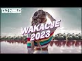  wakacje 2023  najlepsze disco polo w remixach  skadanka do chlania  vol4   dj nelo 