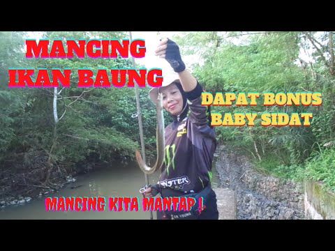 Mancing ikan baung