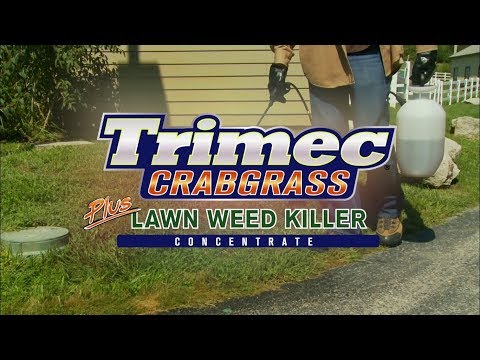 ვიდეო: რას კლავს trimec Classic?