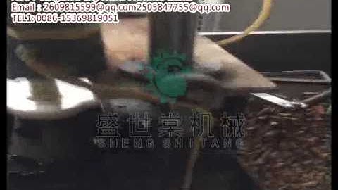 Automatic dates pitting machine