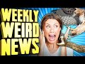 Woman Attacked by Snake AND Hawk Simultaneously - Weekly Weird News