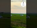 #wajaale #banka wajaale#viralvideo #fypシ゚viral #somalicommunity #somaliland #ethiopia #ethiopianmu