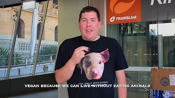 Why We’re Vegan | Street Interviews with Animal Rights Activists