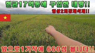 [베트남부동산투자] 현금한봇다리로 땅을구입했어요 (강삭2회세번째업로드)