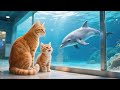 🎁 A Surprise Gift: Mama Cat and Kitten Excited for Their First Aquarium Visit