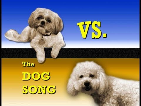 dog picture song