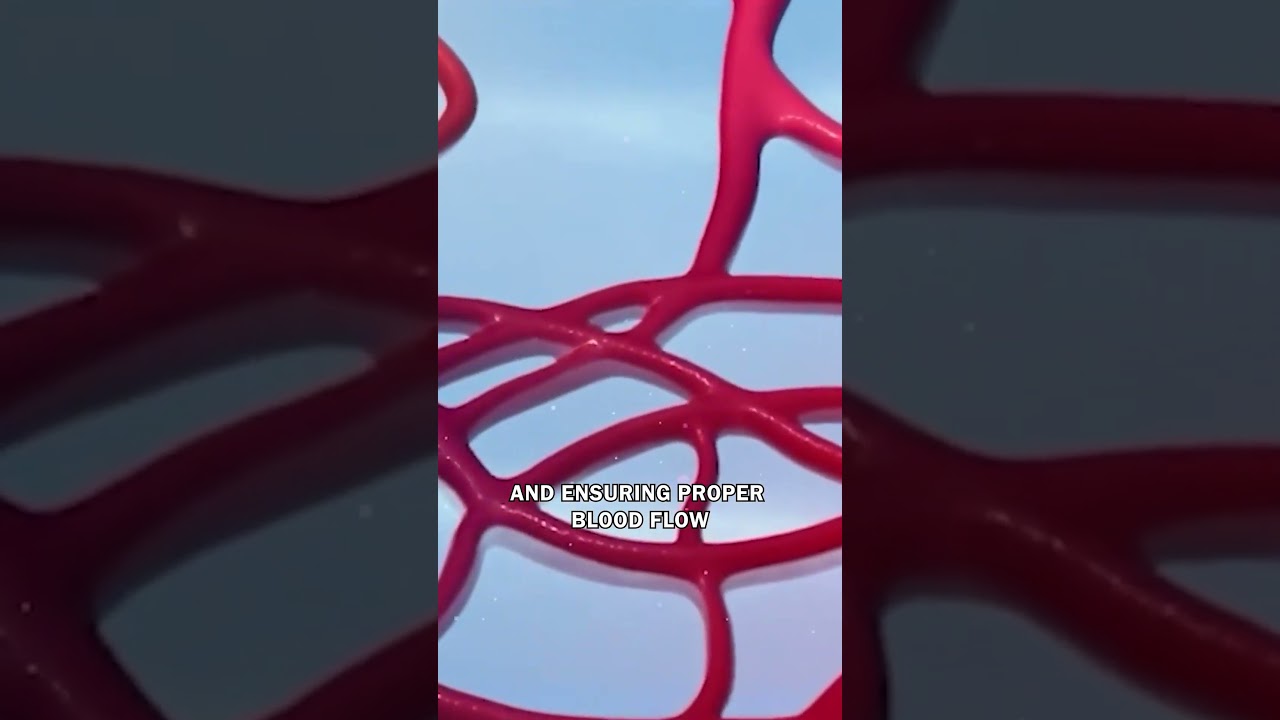 💖 Revitalize Your Circulation: 8 Essential Vitamins for a Healthier Blood Flow