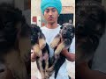 #bathinda #barnala #youtube #youtubeindia #youtubevideo #dog #dogslove #punjabi
