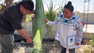 The Best Lamb Barbacoa with Maguey Leaves, How to Make It in the Style of [LULU'S KITCHEN]