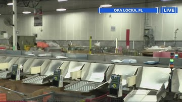 Holiday hustle: Postal carriers ready for mail influx | Rush Hour