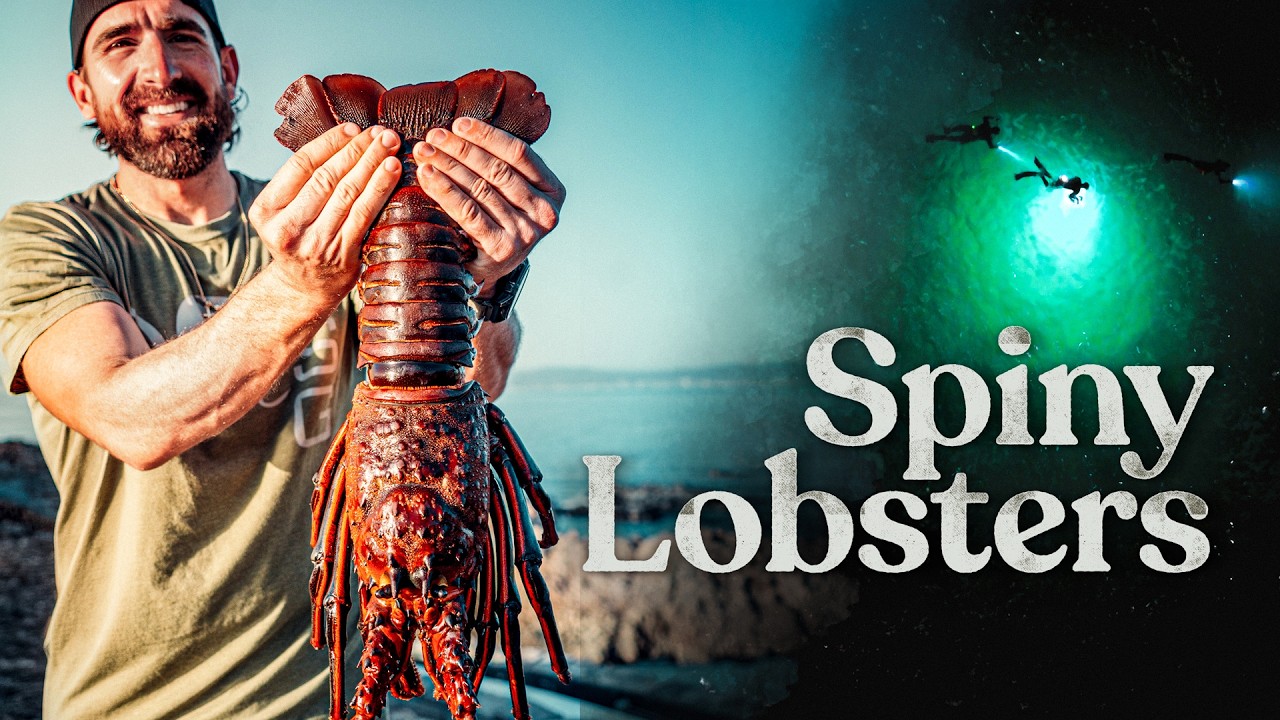 Latest Title & Thumbnail