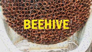 Beehive on simple innovation - Clean Energy Challenge winner interviews