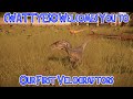  cwattyeso welcomes you to our first velociraptor 