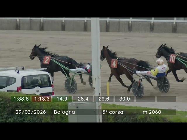 2026 03 29 | Corsa 5 | Metri 2060 | Premio Gran Premio Italia - Maschi