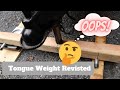 Reweighing our RV's Tongue Weight and Discovering a Mistake.