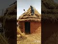 ابناء القطية