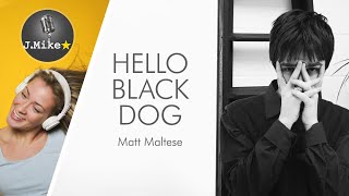 Hello Black Dog - Matt Maltese - Sing along lyrics