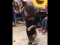 كرماله ليدي
