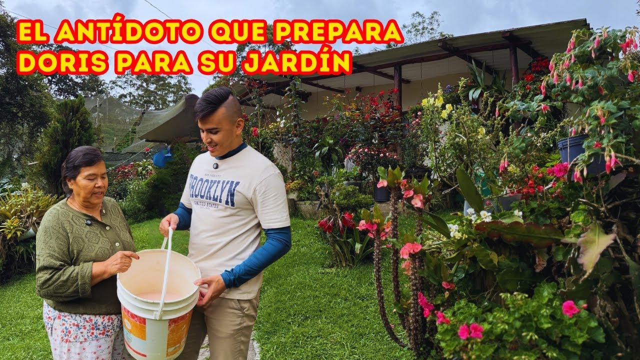 El ANTÍDOTO para PLANTAS que utiliza Doris, este jardín es un paraíso |AP