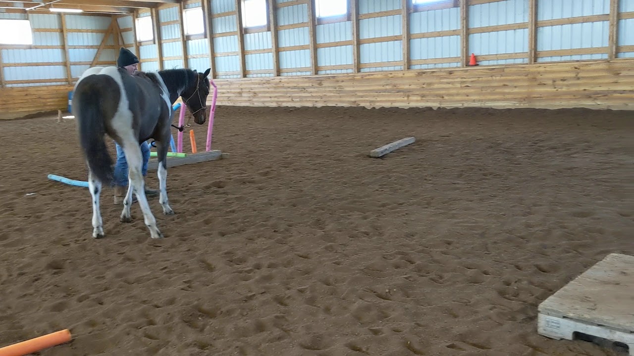 Splinter bridge - YouTube