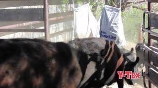 Y-Tex Corporation final.mov