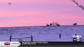 Howard discusses results of village deer hunt