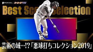 芸術の域に…!?『悪球打ちコレクション 2019』《Best Scene Selection》