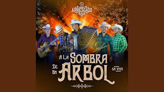 Video thumbnail of "Grupo Arriesgado - El Gran Maestro (En Vivo)"