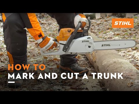 How to mark and cut a trunk on the ground