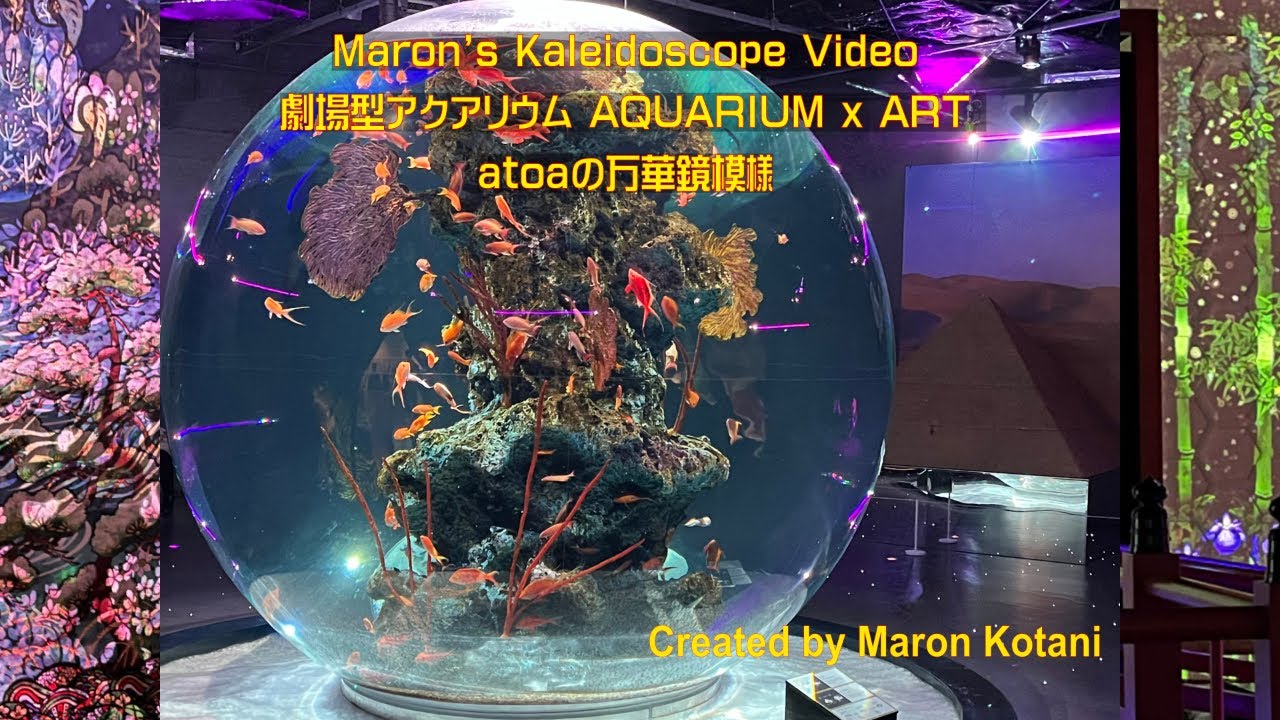 マロンの万華鏡模様：劇場型アクアリウム Maron's Kaleidoscope Video_ AQUARIUM x ART atoa