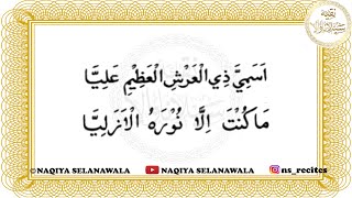 Download Lagu (Qasida) Maula Ali a.s - Asamiya Zil Arshil Azime Ali Ya MP3