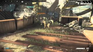 Dog Fight Round 1 Wolf Vs German Shepherd