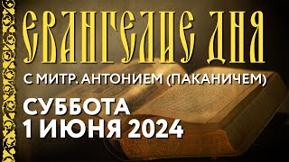 Толкование Евангелия c митрополитом Антонием (Паканичем). Суббота, 1 июня 2024 года.